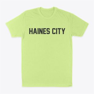 Haines City Florida Classic Block Classic Dad T-Shirt