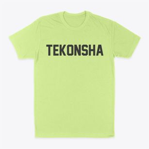 Tekonsha Michigan Classic Block Classic Dad T-Shirt
