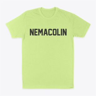 Nemacolin Pennsylvania Classic Block Classic Dad T-Shirt