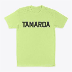 Tamaroa Illinois Classic Block Classic Dad T-Shirt