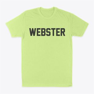 Webster Massachusetts Classic Block Classic Dad T-Shirt