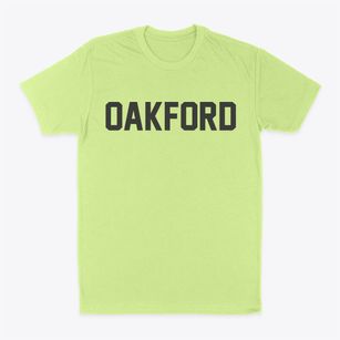 Oakford Illinois Classic Block Classic Dad T-Shirt