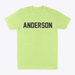 Anderson Texas Classic Block Classic Dad T-Shirt