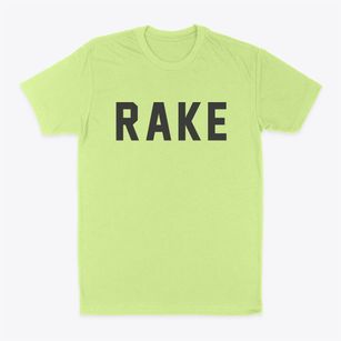 Rake Iowa Classic Block Classic Dad T-Shirt