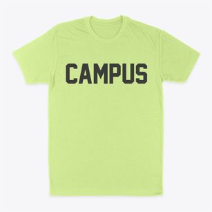 Campus Illinois Classic Block Classic Dad T-Shirt