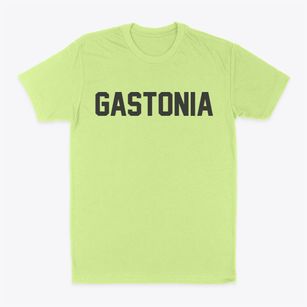 Gastonia North Carolina Classic Block Classic Dad T-Shirt