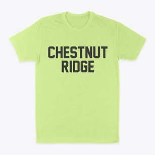 Chestnut Ridge New York Classic Block Classic Dad T-Shirt