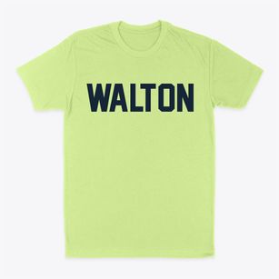 Walton New York Classic Block Classic Dad T-Shirt