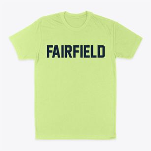 Fairfield Illinois Classic Block Classic Dad T-Shirt