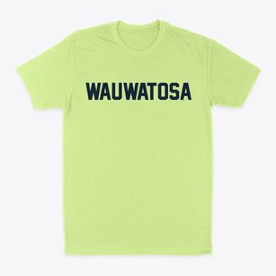 Wauwatosa Wisconsin Classic Block Classic Dad T-Shirt