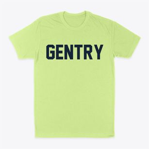 Gentry Arkansas Classic Block Classic Dad T-Shirt