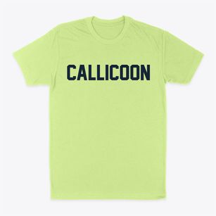 Callicoon New York Classic Block Classic Dad T-Shirt