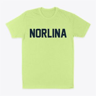 Norlina North Carolina Classic Block Classic Dad T-Shirt