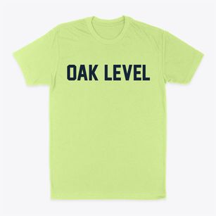 Oak Level Virginia Classic Block Classic Dad T-Shirt