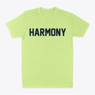 Harmony North Carolina Classic Block Classic Dad T-Shirt