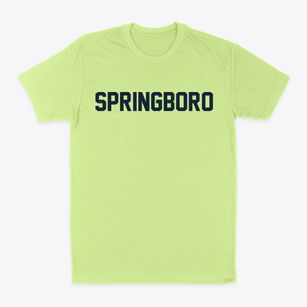 Springboro Ohio Classic Block Classic Dad T-Shirt