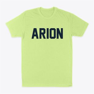 Arion Iowa Classic Block Classic Dad T-Shirt