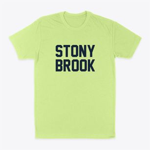 Stony Brook New York Classic Block Classic Dad T-Shirt