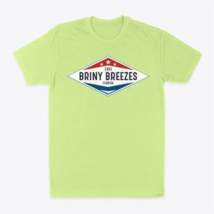 Briny Breezes Florida Diamond Star Classic Dad T-Shirt