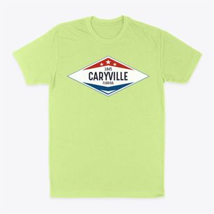 Caryville Florida Diamond Star Classic Dad T-Shirt