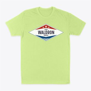Waldron Kansas Diamond Star Classic Dad T-Shirt