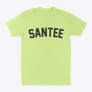 Santee California Classic Curve Classic Dad T-Shirt