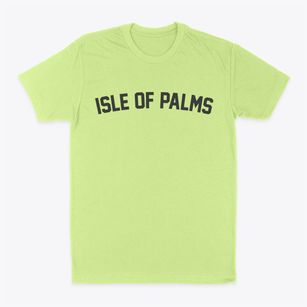 Isle Of Palms South Carolina Classic Curve Classic Dad T-Shirt