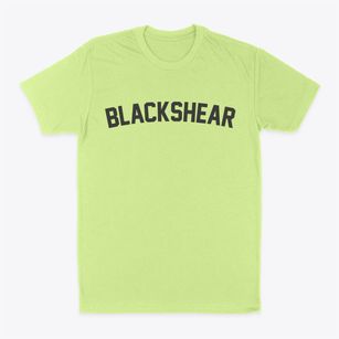 Blackshear Georgia Classic Curve Classic Dad T-Shirt