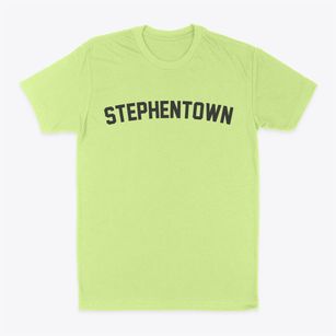 Stephentown New York Classic Curve Classic Dad T-Shirt
