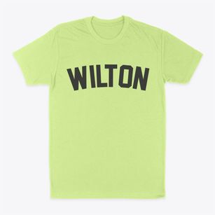 Wilton Iowa Classic Curve Classic Dad T-Shirt