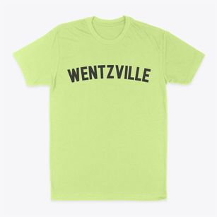 Wentzville Missouri Classic Curve Classic Dad T-Shirt