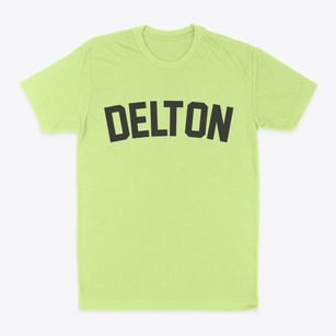 Delton Wisconsin Classic Curve Classic Dad T-Shirt