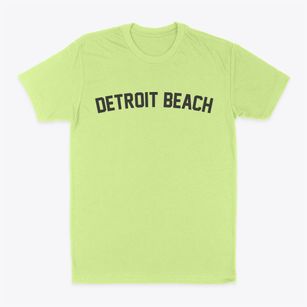 Detroit Beach Michigan Classic Curve Classic Dad T-Shirt