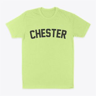 Chester Pennsylvania Classic Curve Classic Dad T-Shirt