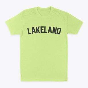 Lakeland Minnesota Classic Curve Classic Dad T-Shirt