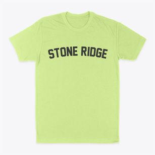 Stone Ridge New York Classic Curve Classic Dad T-Shirt
