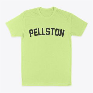 Pellston Michigan Classic Curve Classic Dad T-Shirt