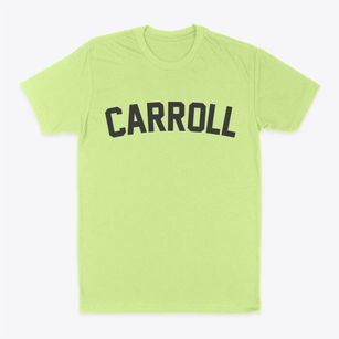 Carroll New Hampshire Classic Curve Classic Dad T-Shirt