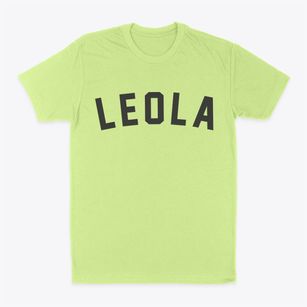 Leola Wisconsin Classic Curve Classic Dad T-Shirt