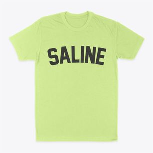 Saline Louisiana Classic Curve Classic Dad T-Shirt