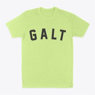 Galt Missouri Classic Curve Classic Dad T-Shirt