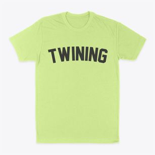 Twining Michigan Classic Curve Classic Dad T-Shirt