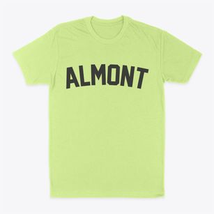 Almont North Dakota Classic Curve Classic Dad T-Shirt