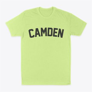Camden Illinois Classic Curve Classic Dad T-Shirt