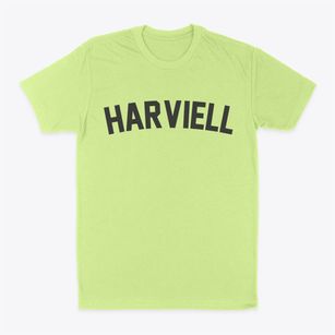 Harviell Missouri Classic Curve Classic Dad T-Shirt