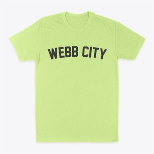 Webb City Missouri Classic Curve Classic Dad T-Shirt