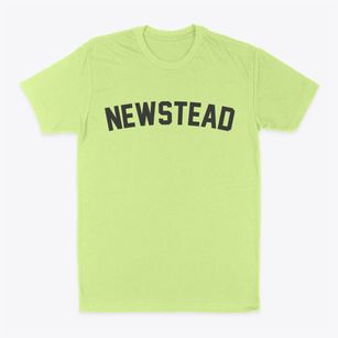 Newstead New York Classic Curve Classic Dad T-Shirt