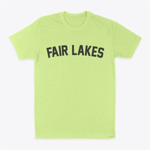Fair Lakes Virginia Classic Curve Classic Dad T-Shirt