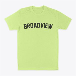 Broadview Illinois Classic Curve Classic Dad T-Shirt