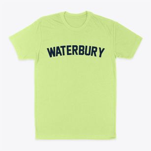 Waterbury Vermont Classic Curve Classic Dad T-Shirt